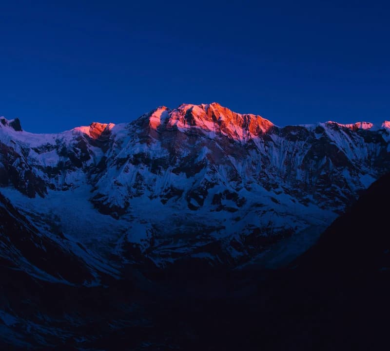 Fully embracing your business vision